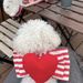 INS New Cute Heart-Shaped Breathable Chest Harness Set For Teddy Bichon Dogs Outdoor Walking Dog Leash Pet_voghion.com