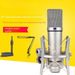 U87 Live Streaming Internet Celebrity Recording Studio Sound Card Set Large Diaphragm Condenser Microphone For Mobile_voghion.com