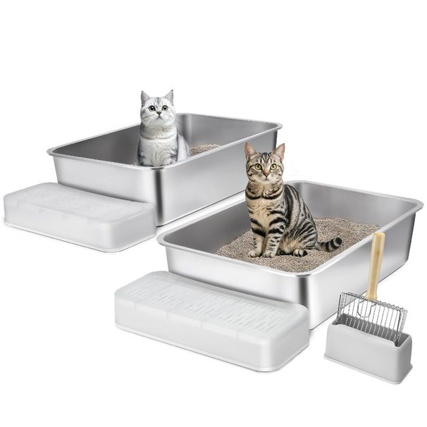 Box Filtering With Litter Litter In Foot Cat Box Board Deep 6 OdorFree_voghion.com