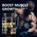 3 Lbs Cross-Border Export Whey Chocolate Flavor 3LBS Protein Powder_voghion.com