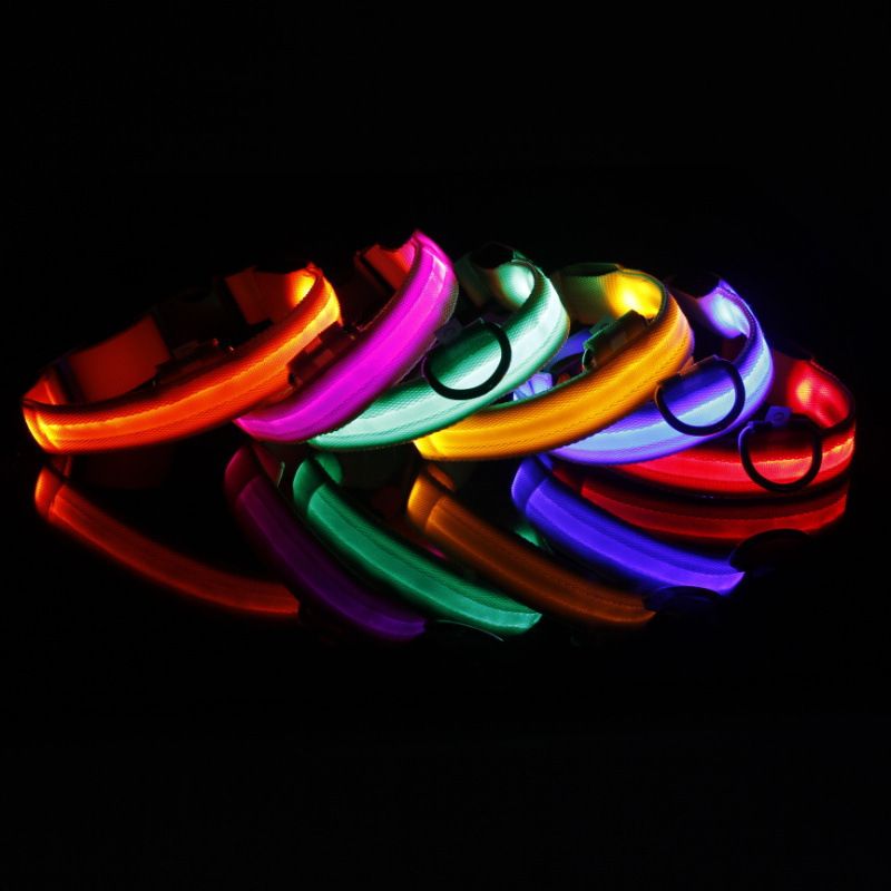 Guinzaglio LED per animali domestici, collare luminoso ricaricabile per cani a corpo intero_voghion.com
