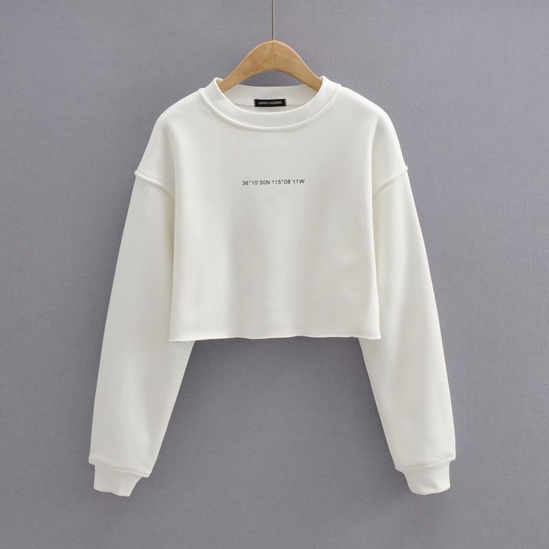 Women's Plush sweatshirt suit for women style round neck loose sweatshirt + elastic waist leggings sweatpants_voghion.com