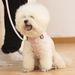 Trendy Cute Vest Style Small Teddy Bichon Puppy Chest Harness Dog Rope Leash_voghion.com