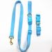 2022 New Solid Color Retractable Dog Running Pet Leash_voghion.com