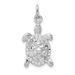 14k White Gold Solid Polished Open-Backed Turtle Charm_voghion.com