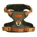 Pettorina per cani in pelle PU con strisce riflettenti antideflagranti, stile gilet_voghion.com