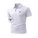 Men's Simple Business Casual Lapel Tops For Men, Exclusive Bull Head Embroidered Polo Shirts_voghion.com