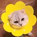 Sunflower Elizabethan EVA Sponge Lightweight Headband Cat Supplies Neck Anti-Lick Shame Collar Neutering Use_voghion.com