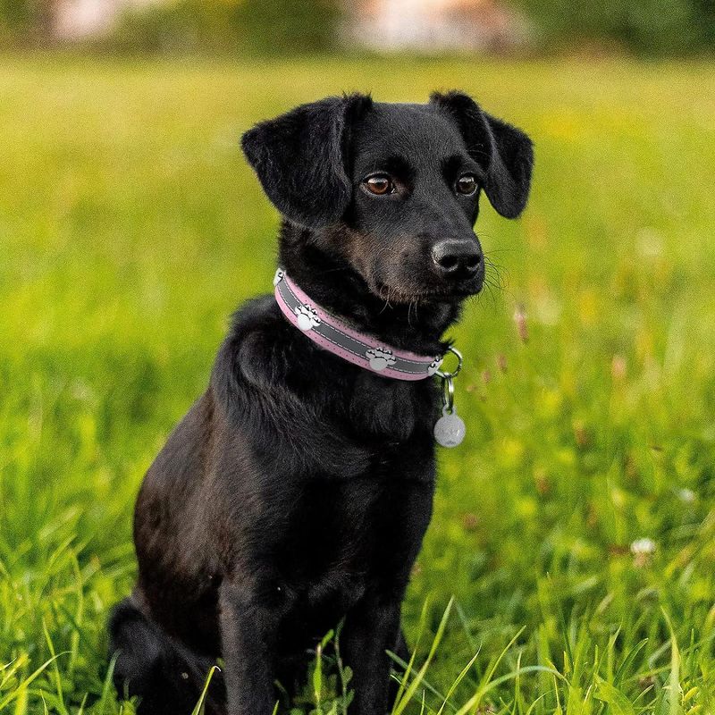 SQCLV Reflective Dog Collar With Cute Paw Rivet Studded Funny Soft PU Leather Adjustable Puppy Dog Collars For Small Medium Large Dogs Cats (Pink,Smal_voghion.com