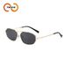 Two Circles Fashion Metal Frame Sunglasses - Best Selling Retro Style For Women & Men (Model T1367)_voghion.com