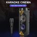 Microphone stéréo portable pour karaoké en extérieur, haut-parleur Bluetooth intégré, ZQS6203_voghion.com