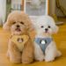 Small For Medium Dogs, Chest Harness Leash, Teddy Dog Leash_voghion.com