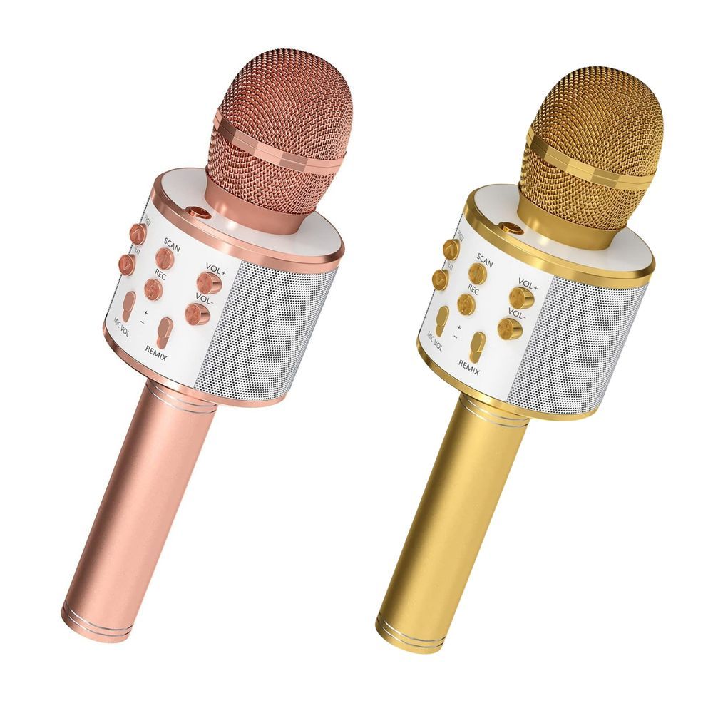 5 Core Microphone Wireless Karaoke Mic Pair With Speaker 3 In 1 Portable Bluetooth Microfono Inalambrico W Recording USB Aux For Home Party Birthday_voghion.com