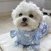 Poncho antipioggia coreano impermeabile a copertura totale per cani di piccola e media taglia, con cappuccio a quattro zampe, per animali domestici, tipo Teddy Bichon._voghion.com