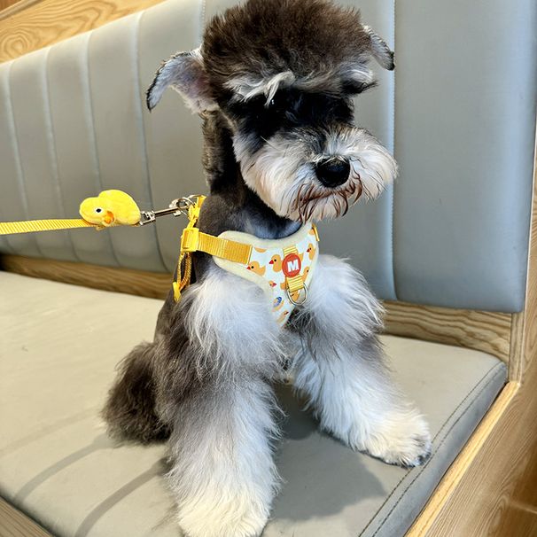 Pet Outdoor And Leash Set C-Shape Little Elephant Harness_voghion.com