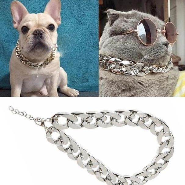 Gold Chain For Medium-sized Dog By PawParty Store_voghion.com