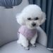 New Spring Summer Cotton Pet Teddy Bichon Cat Vest Small And Medium-sized Dog Clothes_voghion.com