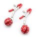 BDSM Sexy Metal Nipple Clamp Strawberry Breast Sex Toys Clamp Female Equipment Adult_voghion.com