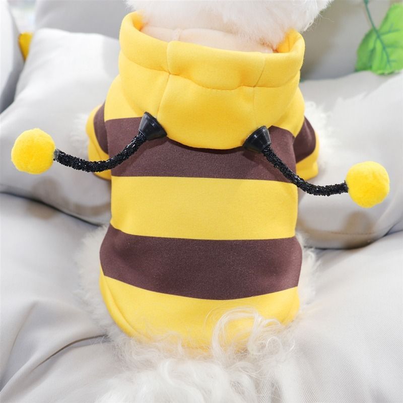 Katze Herbst Winter Warm Schnauzer Teddy Kleine Hund Haustier Kleidung Bee Transformation Outfit_voghion.com