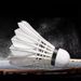 12-Pack Badminton Shuttles Durable Windproof Stable Elastic Unbreakable White Feather High Elasticity Indoor Outdoor_voghion.com