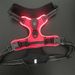 Pet LED Night Reflective Light-Up Harness Warning Dog Vest Type-C Charging_voghion.com