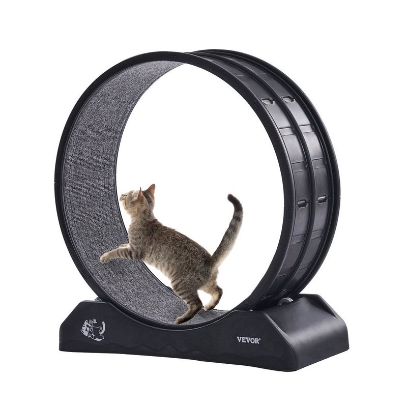 VEVOR Cat Exercise Wheel 31.5 In Large Indoor Cat Running Wheel Treadmill Black_voghion.com