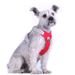Harnais réfléchissant CDDMPET pour chiens, par PawParty Store_voghion.com