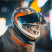 Gør-det-selv-kæledyrshjelme,Kattehjelm,Hundehjelm-Udendørs minihovedbeskyttende sikkerhedshat,Kæledyrsfotorekvisitter-tilbehør,Mini-motorcykelhjelm_voghion.com