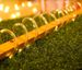 Solar String Lights Outdoor Waterproof LED Strip Rope Tube Lamp Christmas Fairy Garland String Lights For Garden Tree Yard Fence_voghion.com
