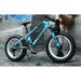 Direct Sales Snowmobile 26/ 20inch Dual Disc Brake Mountain Snow Beach Fat Tire Variable Speed Bicycle_voghion.com