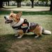 2024 New Pet Harness For Medium And Large Dogs Reflective Explosion-Proof Vest-Style Dog Leash_voghion.com
