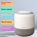 Smart Speaker Flagship Edition Künstliche KI-Stimme WiFi Bluetooth Musik-Player Infrarot-Fernbedienung_voghion.com