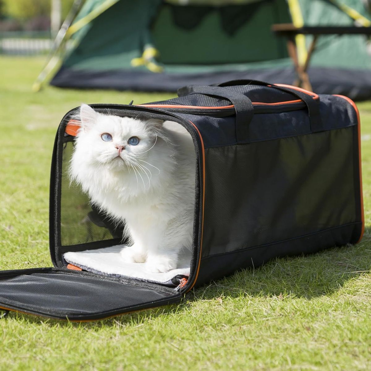 Car Pet Carrier Large Capacity Handheld Cat Portable Multifunctional Outdoor Shoulder Puppy Crossbody Bag_voghion.com