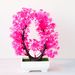 Manufacturers wholesale simulation bonsai potted plants acacia plum tree home desktop simulation bonsai decorations_voghion.com
