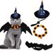 New Atmosphere Accessories Set Halloween Cat Costume Pet Transformation Outfit_voghion.com