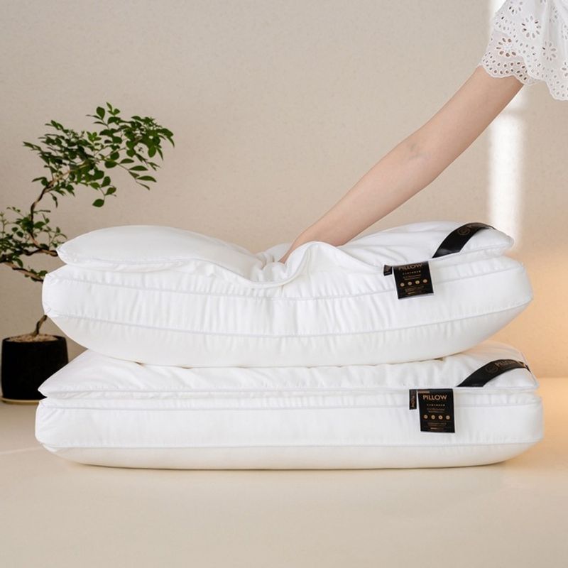 Double Layer One Piece Small Fresh And Simple Style Feather Silk Pillow Single Hotel Dormitory Home Adult Gift Pillow Core_voghion.com