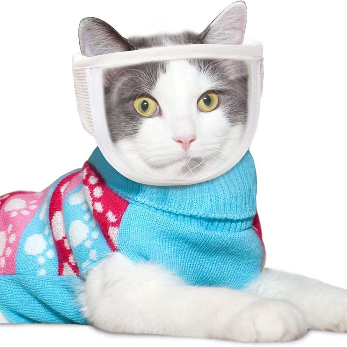 Pet Transparent Eye Mask, Cat Mask, Cleaning And Grooming, Anti-licking, Anti-biting, Anti-calling Cat Breathable Mask_voghion.com