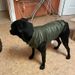 CDDMPET Winter Polyester Dog Jacket By PawParty Store_voghion.com