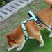 CDDMPET Vest Harness For Dogs By PawParty Store_voghion.com