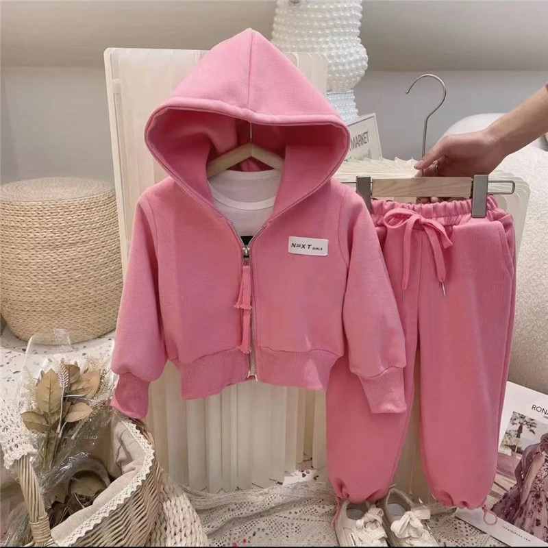 2023 kinder Sport Frühling und Herbst Koreanische Ausgabe Mädchen Doppel Zip Mit Kapuze Mantel Casual Hosen Zwei Stück Set_voghion.com