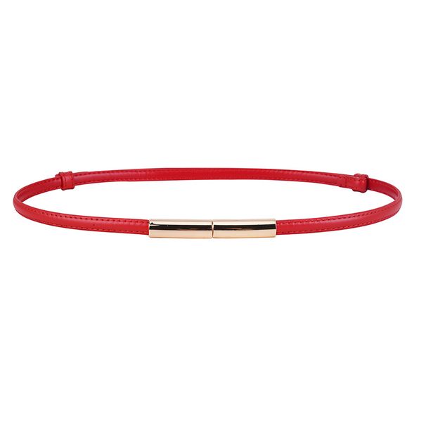 Cintura con fibbia decorativa, semplice, versatile, sottile e con un solo anello, per stringere la vita di un abito da donna_voghion.com