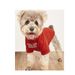 Hot-Selling Pet Clothing Round Neck T-Shirt For Teddy, Bichon, Cats, And Dogs_voghion.com