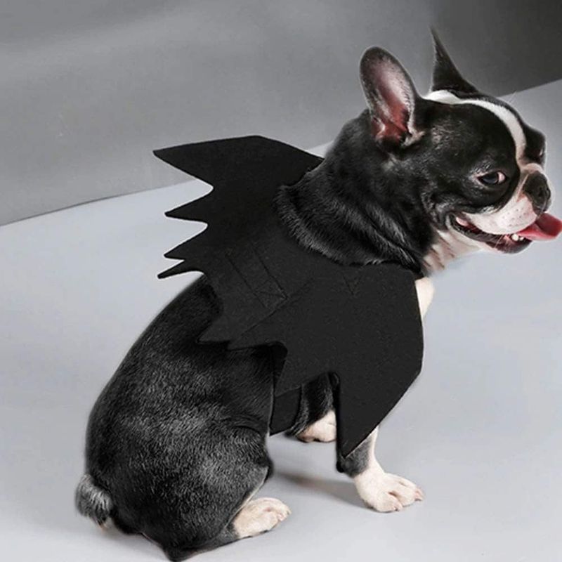 Halloweenské rekvizity pro domácí mazlíčky, netopýří křídla, pavouk, oblékání, vtipné kotě, velký pes, přeměna, kostýmy_voghion.com