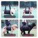 Elderly Outdoor Convenient Leg Support Rehabilitation Dog Harness_voghion.com