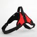 Cat And Vest-Style Harness Anti-Escape Saddle Style Chain Breathable Mesh Dog Walking Leash_voghion.com