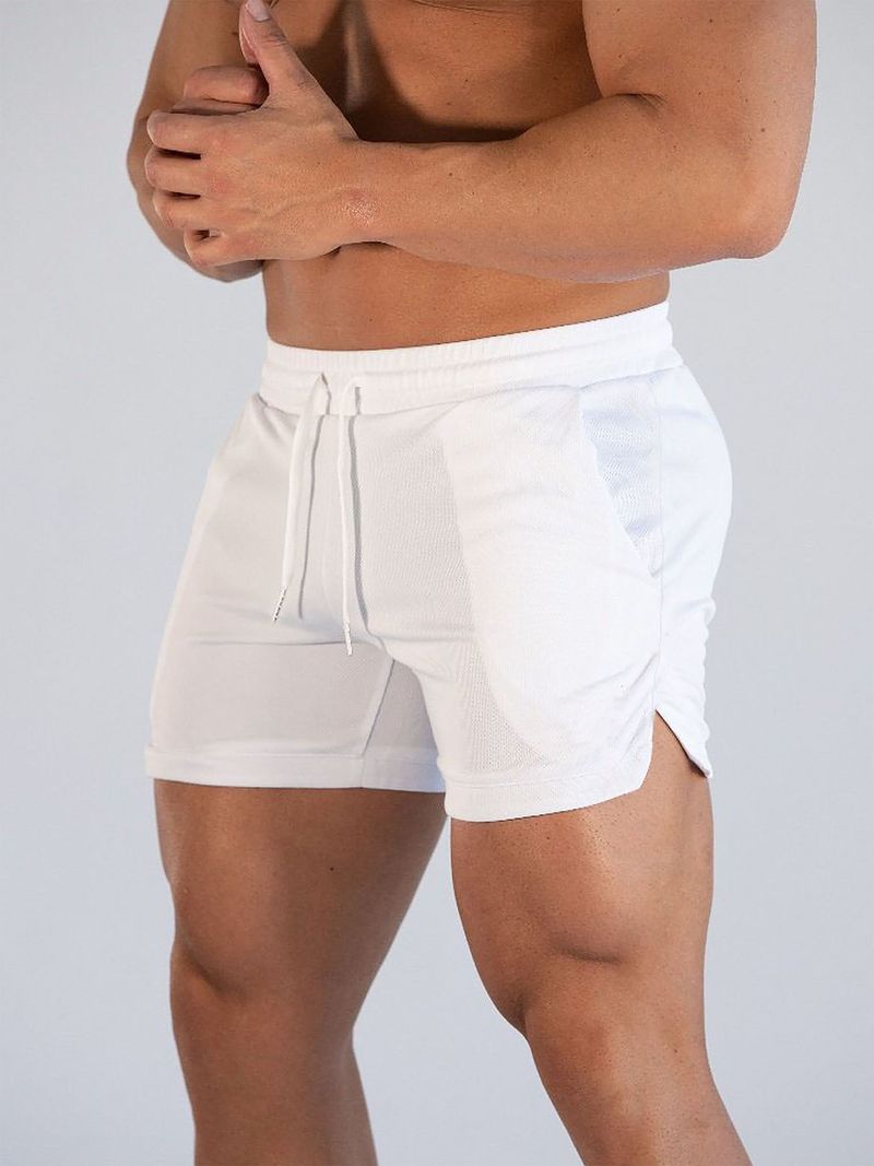 Men's Clothing Sports Shorts Men's Fitness Pants Thin Casual Running Mesh Quick Drying Breathable Tight Training Pants_voghion.com