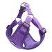 Pettorina anti-roaming per cuccioli, comoda da indossare, guinzaglio anti-fuga per passeggiate con il cane, resistente all'usura_voghion.com