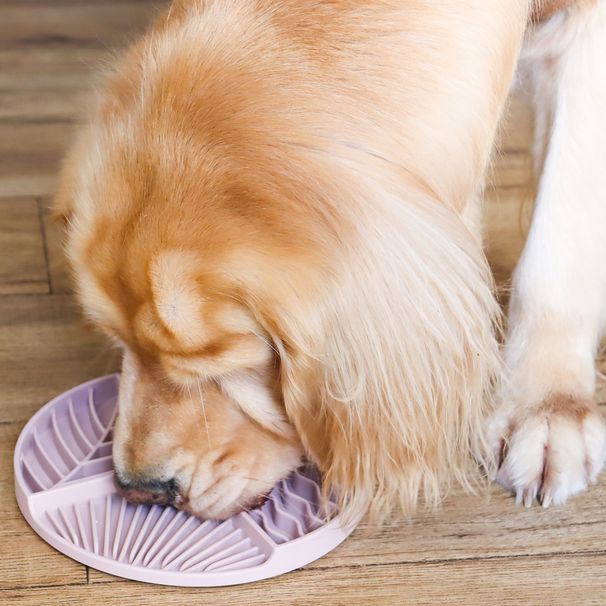 Futternapf mit Fächern, Fressmatte für kleine und mittelgroße Welpen, Anti-Erstickungs-Napf mit Saugnapf_voghion.com