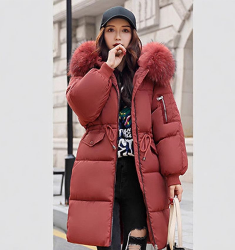 Damenbekleidung Wintermäntel Baumwolljacke Damen mittellange Pufferjacke Großer Pelzkragen Baumwolljacke Neuer Stil Dicke Baumwolljacke_voghion.com