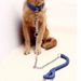Nylon Explosion-Proof Pet Eight-Strand Large With Buffer Dog Walking Leash_voghion.com
